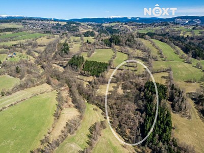 Prodej pozemku, 6 913 m² (3 z 9)