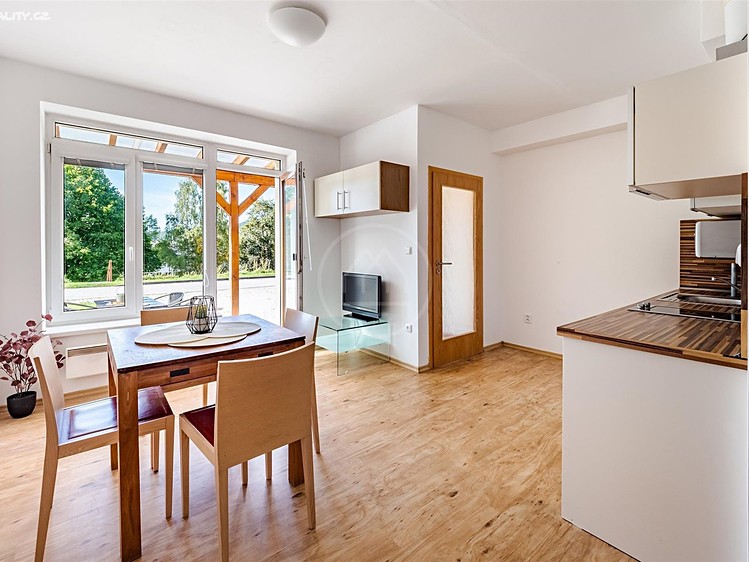 Pronájem bytu 1+kk, 42 m² (1 z 30)
