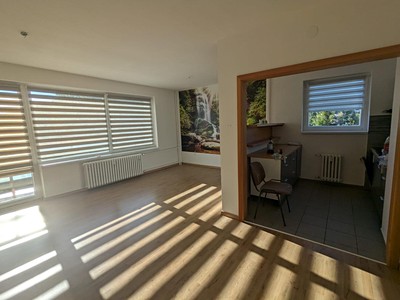 Pronájem bytu 2+1, 59 m² (2 z 12)