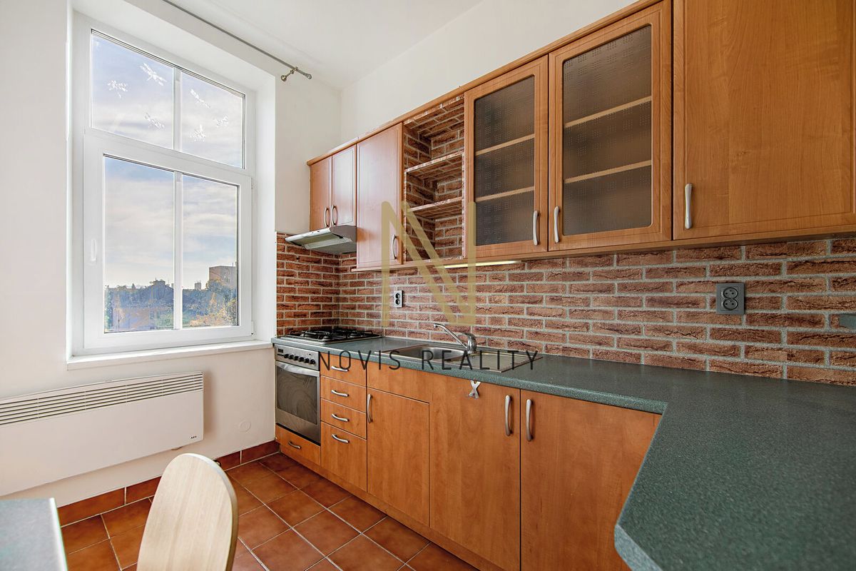 Pronájem bytu 1+1 42 m²