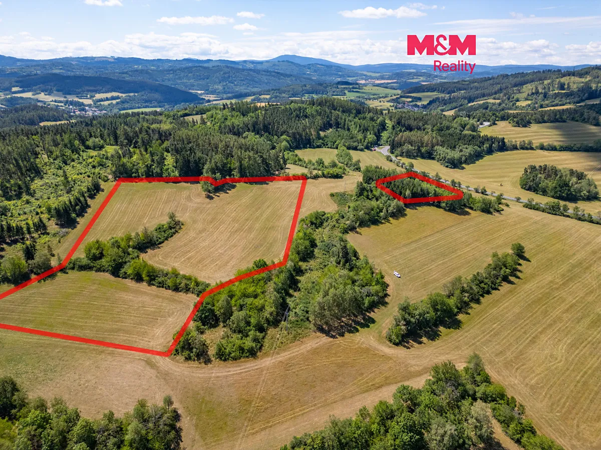 Prodej louky 36981 m²