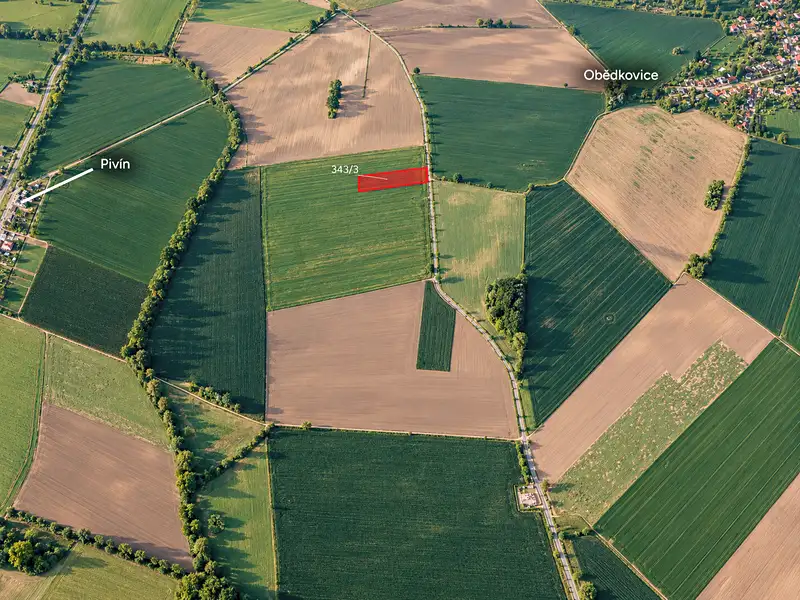 Prodej pole 12034 m², Klenovice na Hané – náhled fotky 1