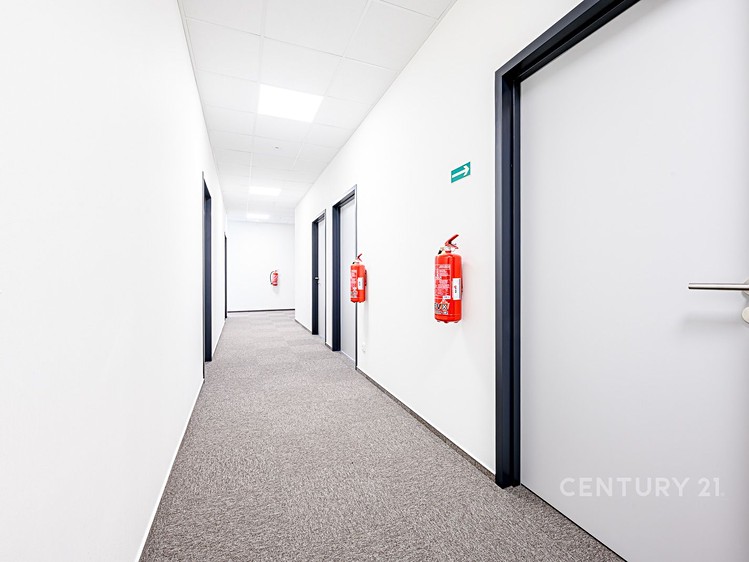 Pronájem komerčního prostoru, 348 m² (11 z 20)