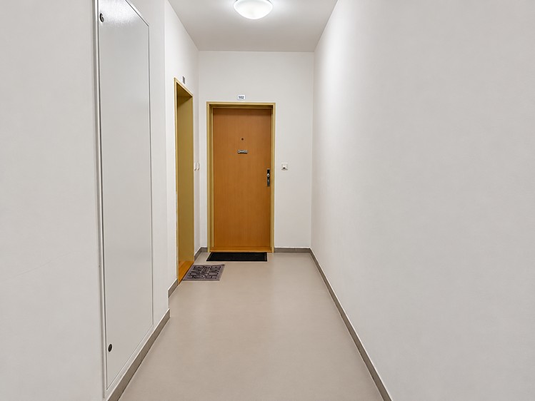 Prodej bytu 3+kk, 62 m² (12 z 19)