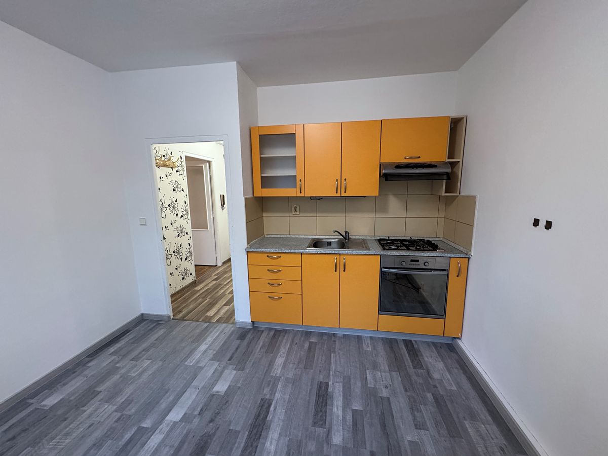 Pronájem bytu 1+1 44 m²