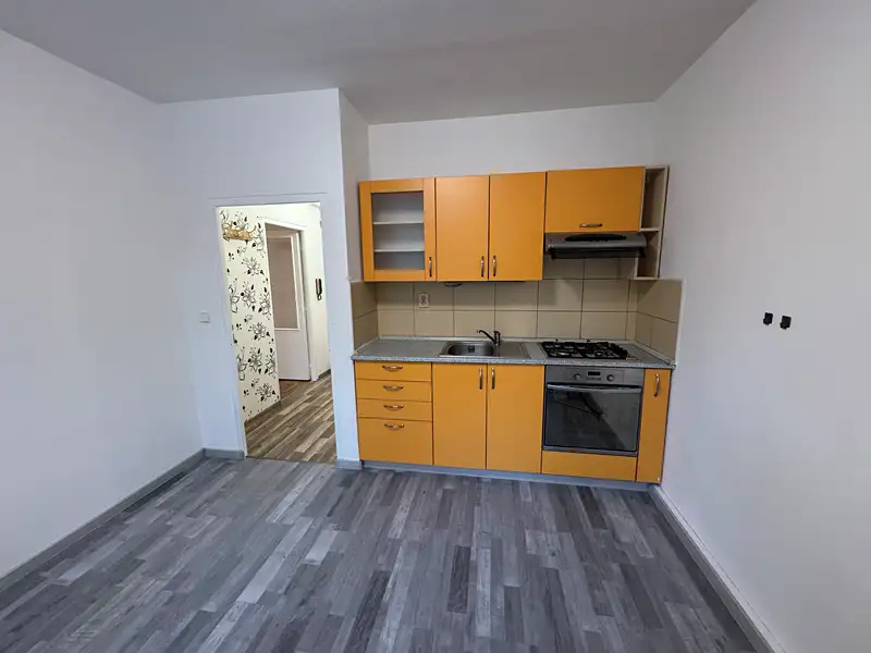 Pronájem bytu 1+1 44 m², Frýdek-Místek – náhled fotky 1