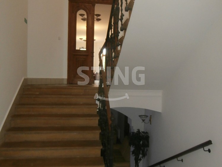 Комерційне приміщення в оренду, 238 м² (4 з 21)
