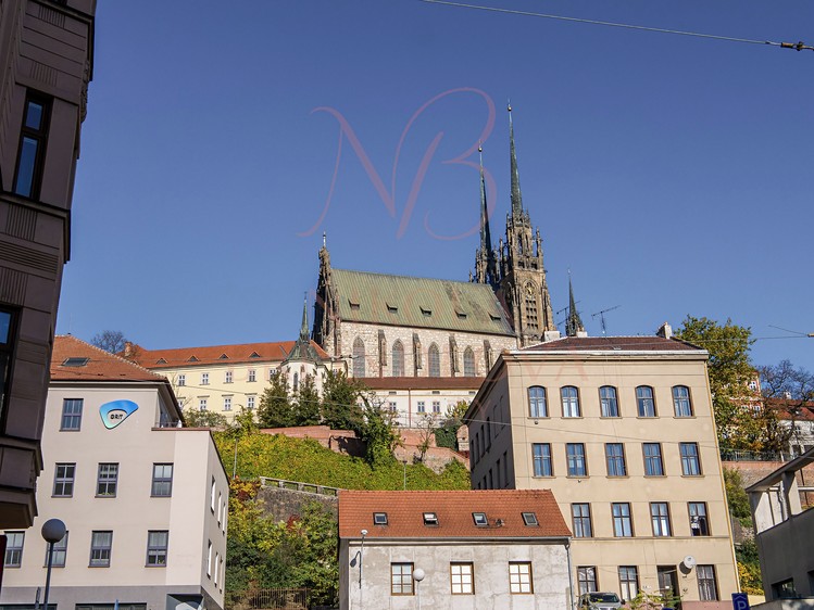 Ostatní