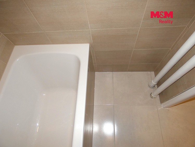 Pronájem bytu 1+1, 38 m² (12 z 21)