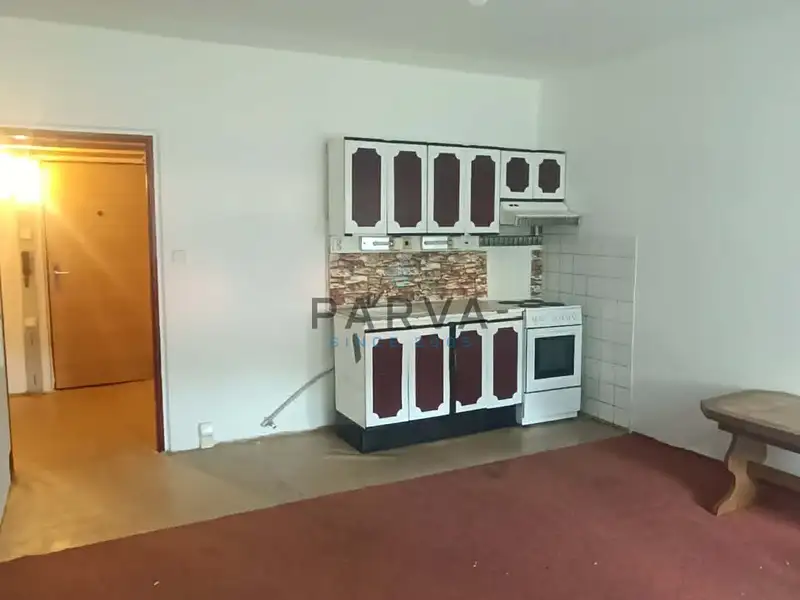 Pronájem bytu 1+kk 26 m², Holoubkov – náhled fotky 3