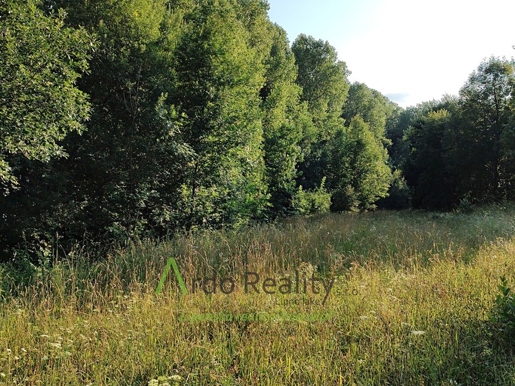 Prodej pozemku, 2 024 m² (7 z 31)
