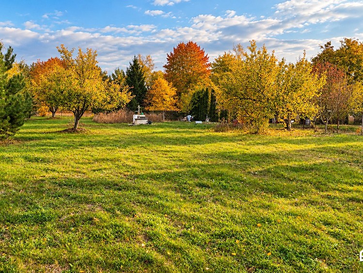 Grundstück zum Kauf, 1.477 m² (6 von 14)