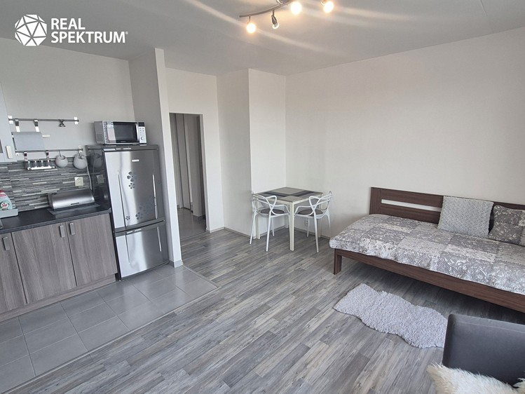 Квартира 1+kk в оренду, 28 м² (5 з 11)