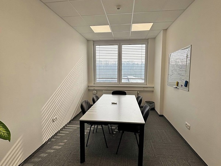 Pronájem komerčního prostoru, 800 m² (12 z 20)