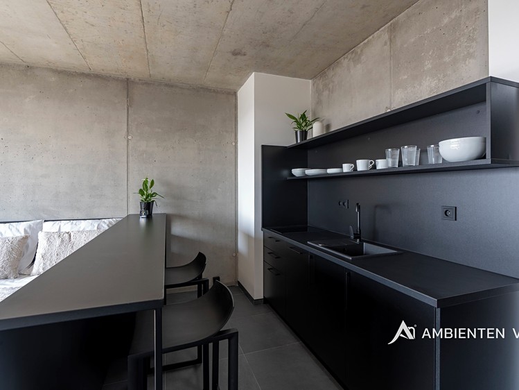 Wohnung 1+kk zur Miete, 35 m² (8 von 22)