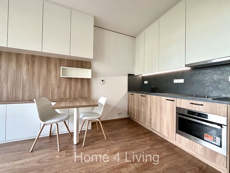 The 1+kk flat for rent, 48 m² (1 of 8)