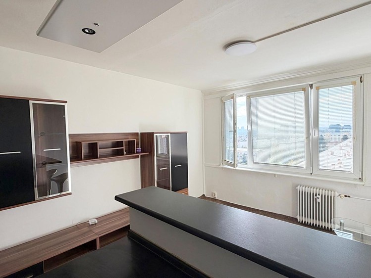 Wohnung 1+kk zur Miete, 24 m² (2 von 16)