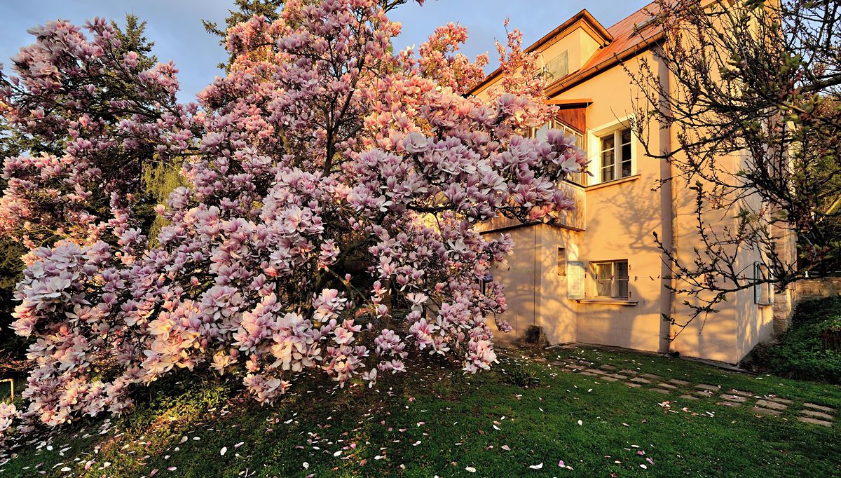 Prodej vily 271 m², pozemek 1846 m², Černošice – fotka 1 z 3
