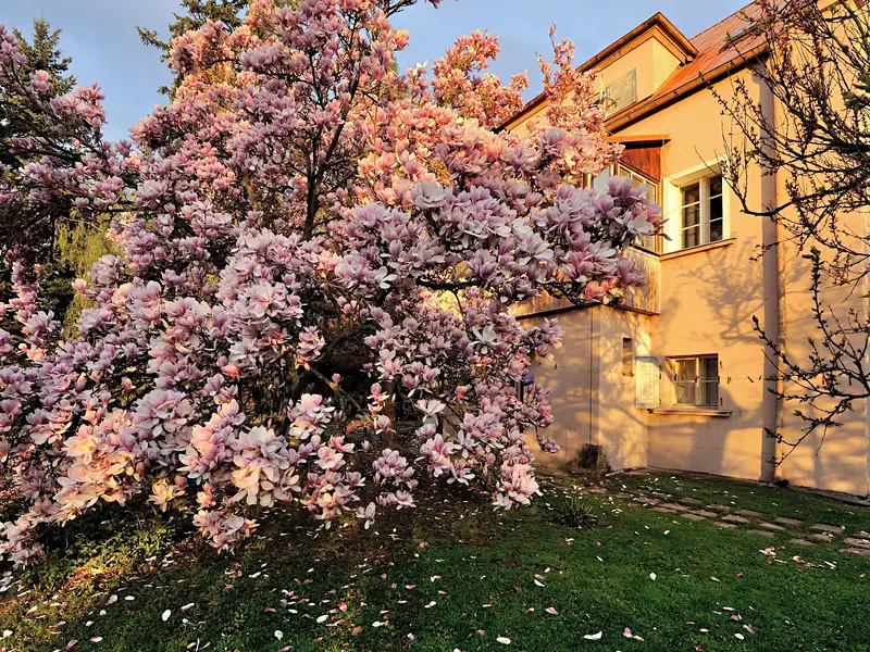 Prodej vily 271 m², pozemek 1846 m², Černošice – náhled fotky 1