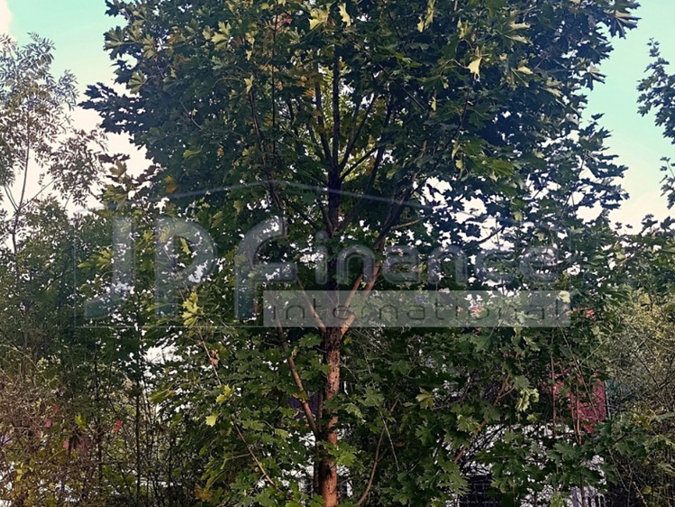Prodej pozemku, 1 203 m² (13 z 19)