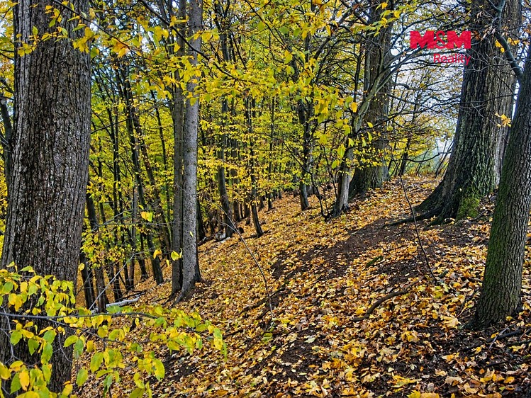 Grundstück zum Kauf, 29.949 m² (7 von 8)