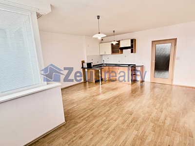 Wohnung 1+kk zur Miete, 44 m² (3 von 18)