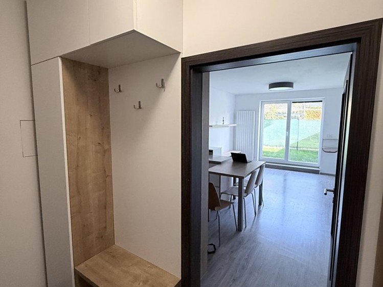 Pronájem bytu 1+kk, 31 m² (11 z 12)