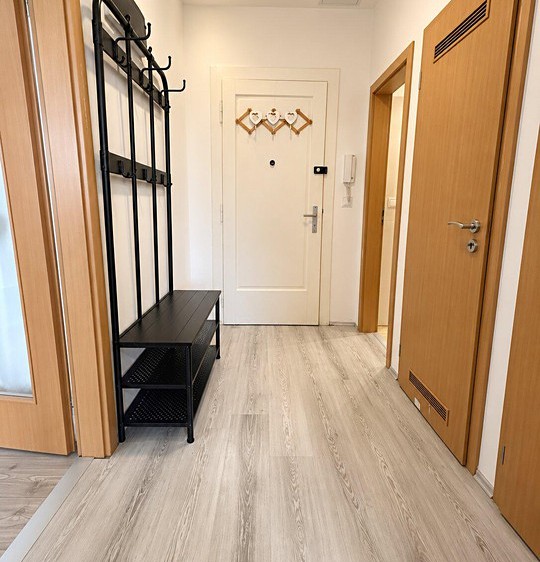 Pronájem bytu 1+1, 38 m² (5 z 11)