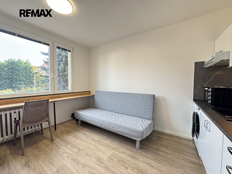 Pronájem bytu 1+kk, 20 m² (3 z 16)