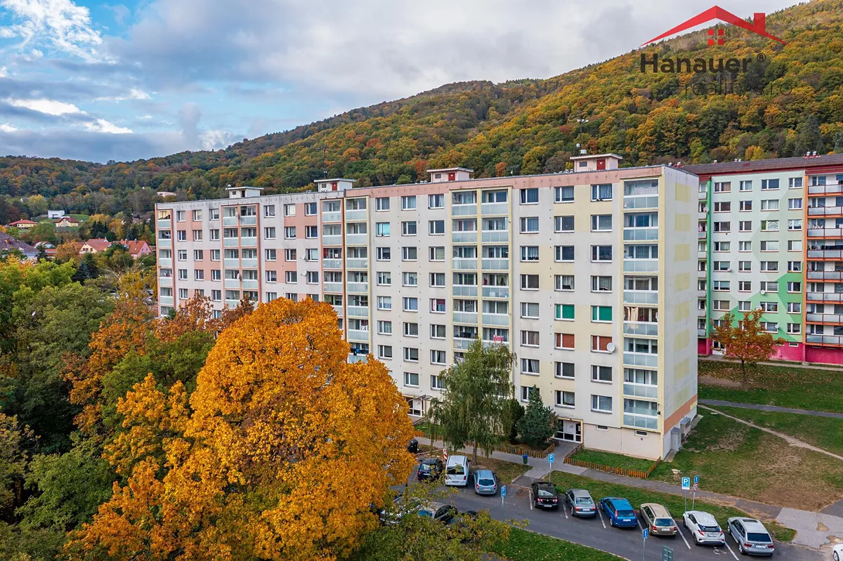 Prodej bytu 3+1 82 m²