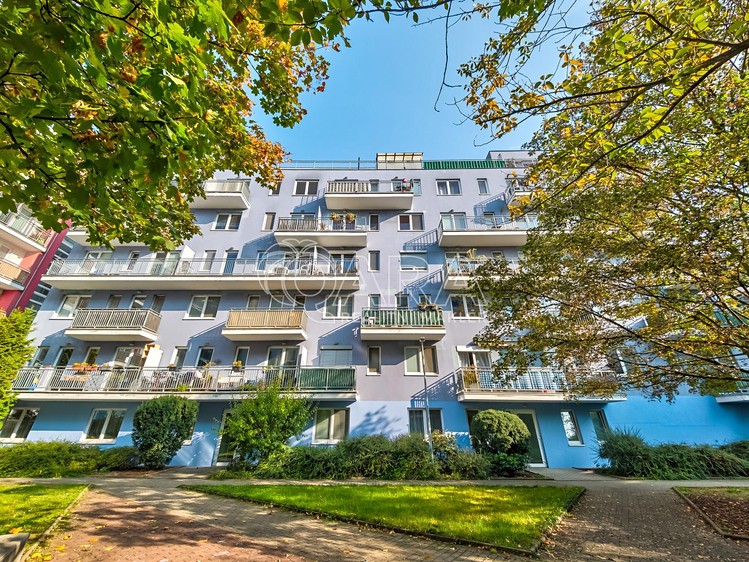 Wohnung 2+kk zur Miete, 46 m² (1 von 13)