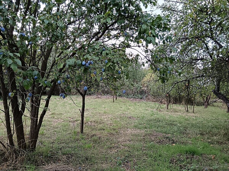Grundstück zum Kauf, 3.043 m² (5 von 15)