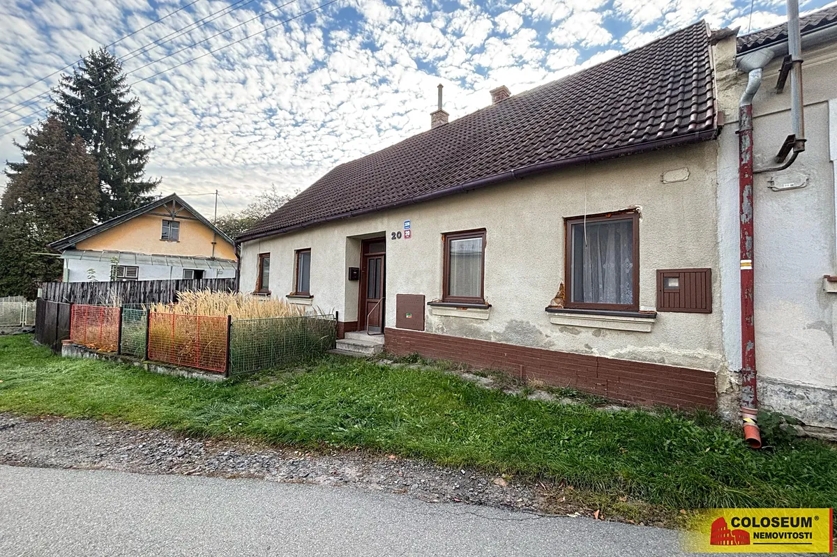 Fotka 4 z 19