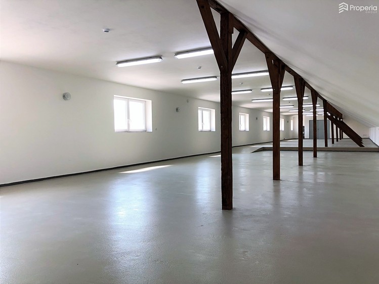 Pronájem komerčního prostoru, 300 m² (7 z 10)