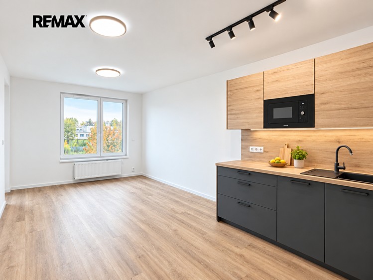 The 2+kk flat for rent, 50 m² (1 of 16)