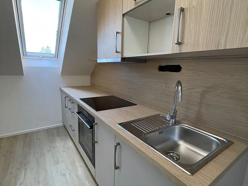 Pronájem bytu 1+kk 43 m², Uherský Brod – náhled fotky 3