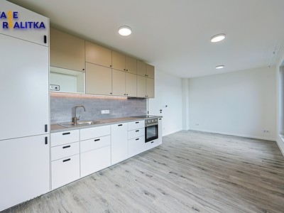 Wohnung 1+kk zur Miete, 33 m² (2 von 13)