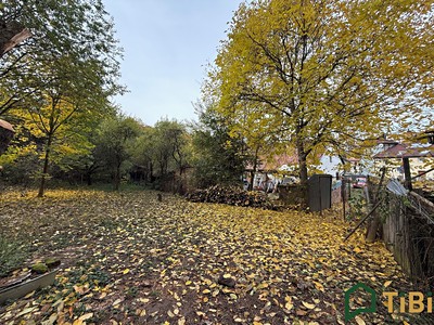 Grundstück zum Kauf, 541 m² (3 von 9)