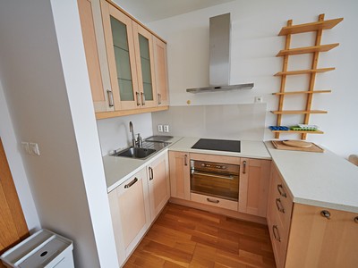 Pronájem bytu 2+kk, 57 m² (2 z 15)