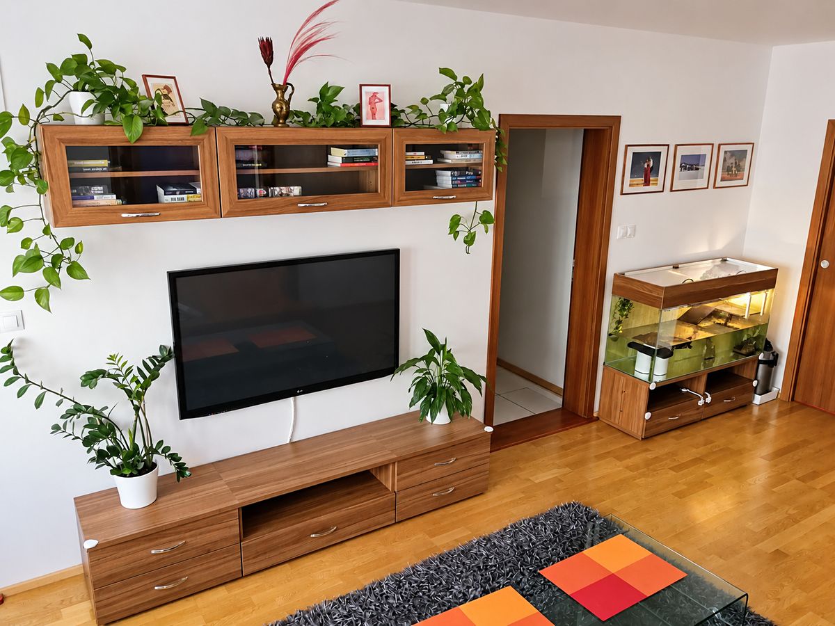 Pronájem bytu 2+1 53 m² – fotografie 5