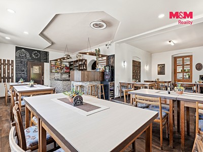 Prodej komerčního prostoru, 350 m² (2 z 30)