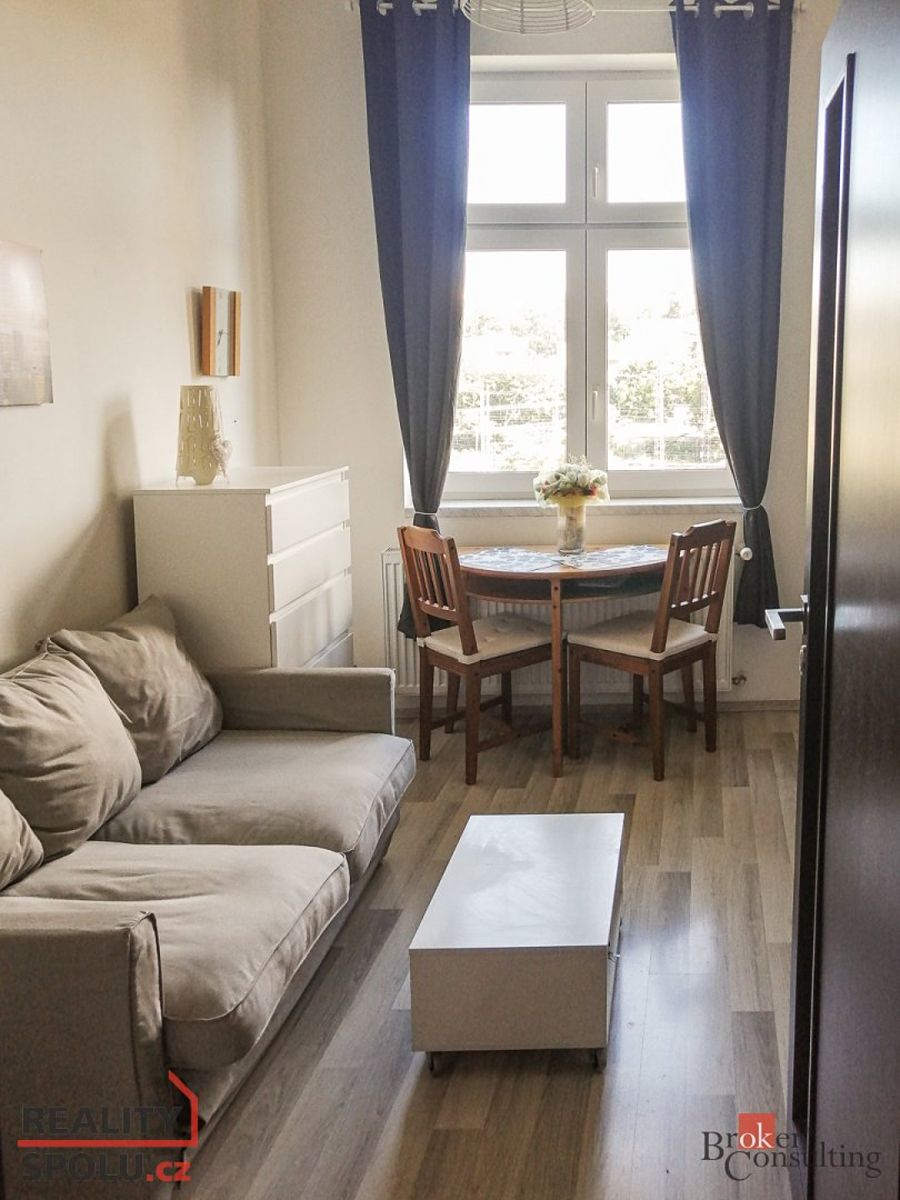 Pronájem bytu 1+kk 25 m² – fotografie 3