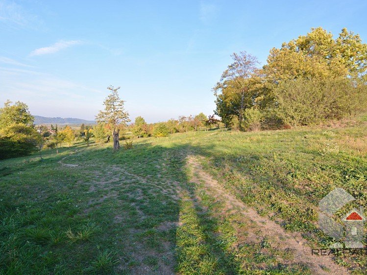 Ostatní