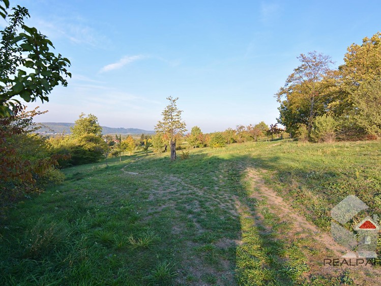 Ostatní