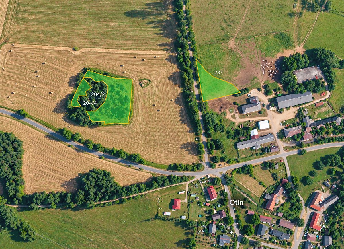 Prodej louky 7209 m², Planá – fotka 1 z 3