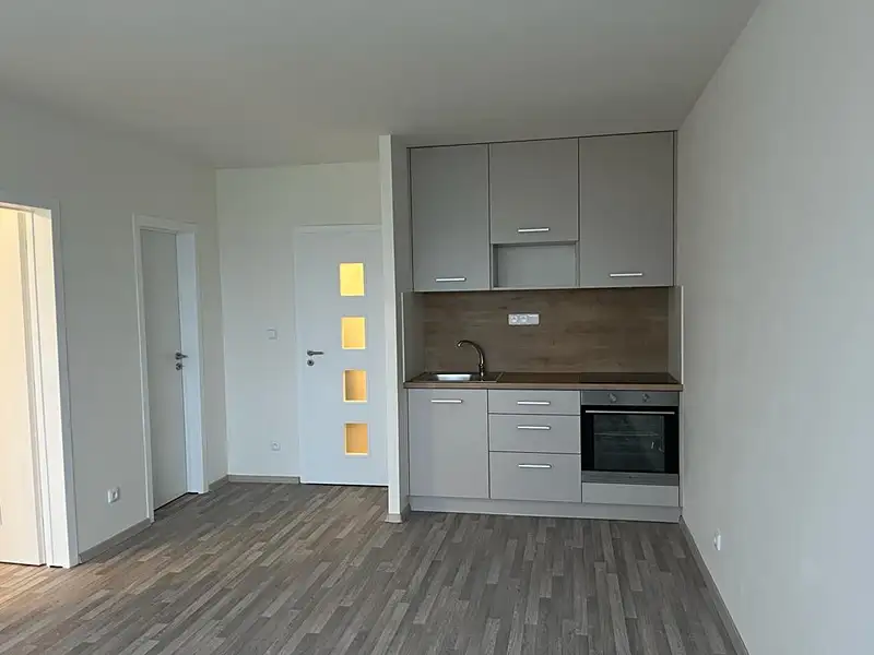 Pronájem bytu 2+kk 42 m², Praha – náhled fotky 1