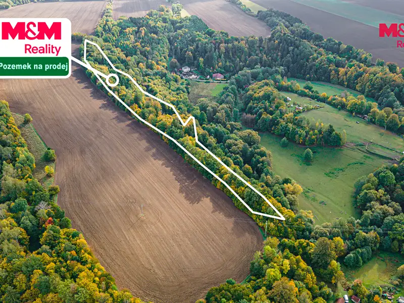 Prodej lesa 29949 m², Opatov – náhled fotky 3