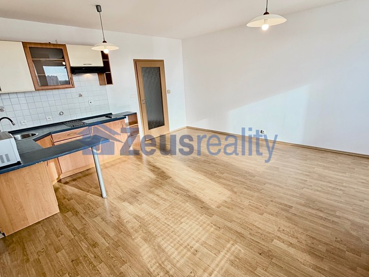 Wohnung 1+kk zur Miete, 44 m² (1 von 18)