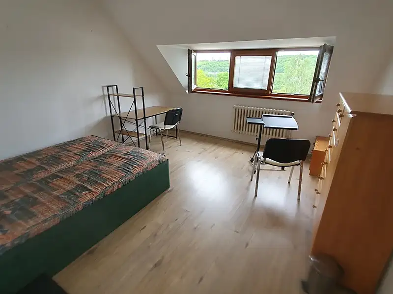 Pronájem bytu pokoje 18 m², Praha – náhled fotky 2