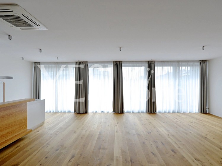 Wohnung 4+kk zur Miete, 229 m² (13 von 30)